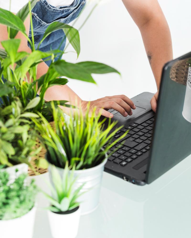 bookkeeping Winnipeg