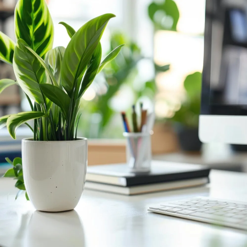 bookkeeping Winnipeg